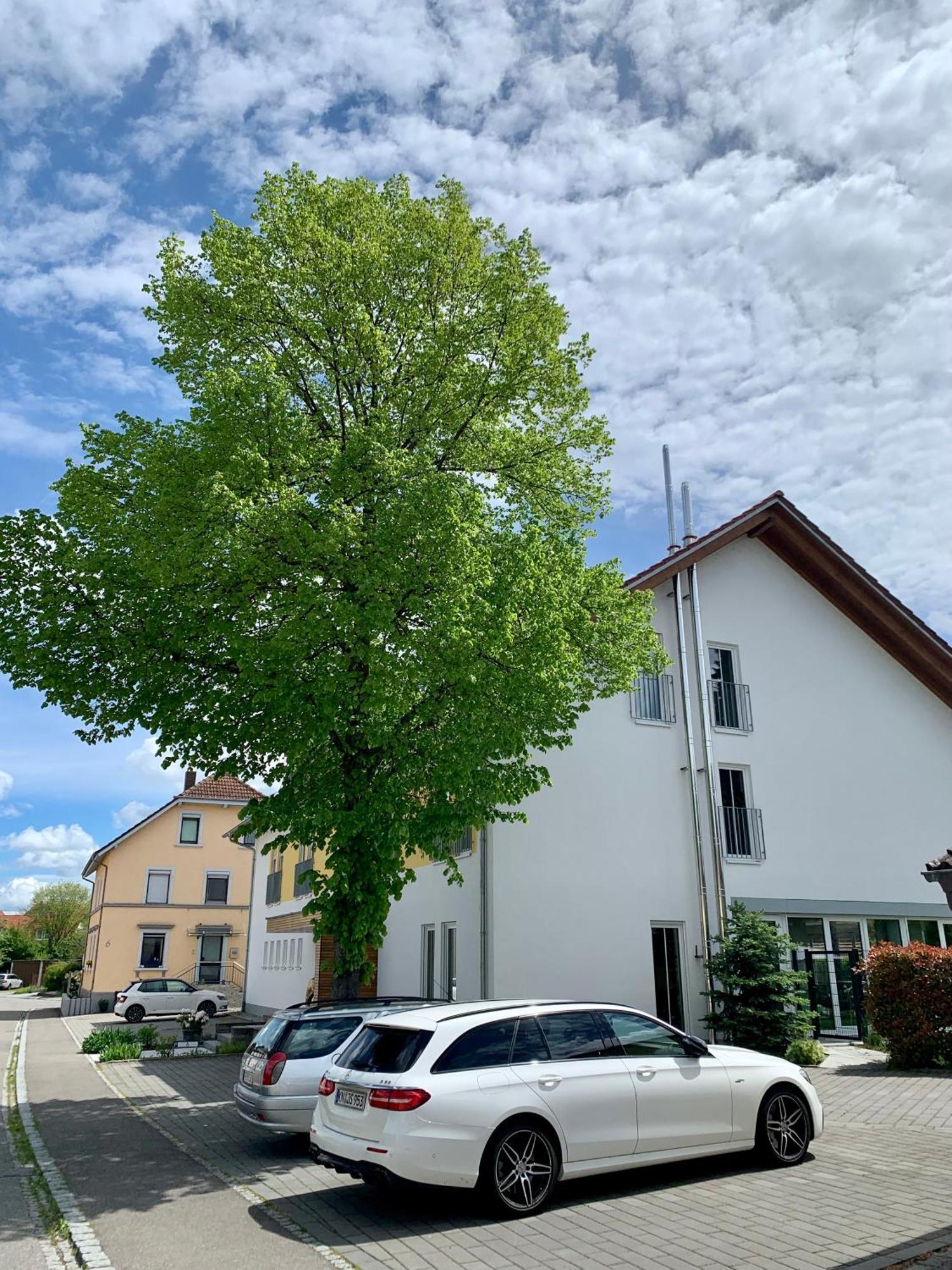 Gaestehaus Gn8 Rielasingen-Worblingen Eksteriør bilde